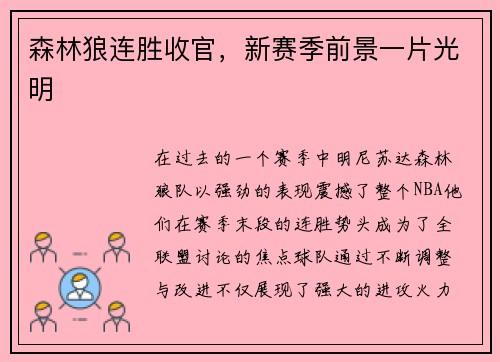 森林狼连胜收官，新赛季前景一片光明