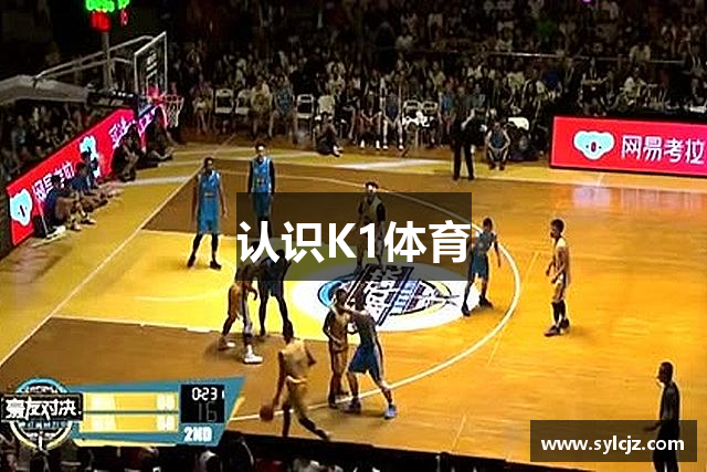 认识K1体育